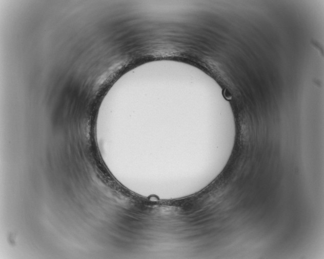 X0000102300539200808152020