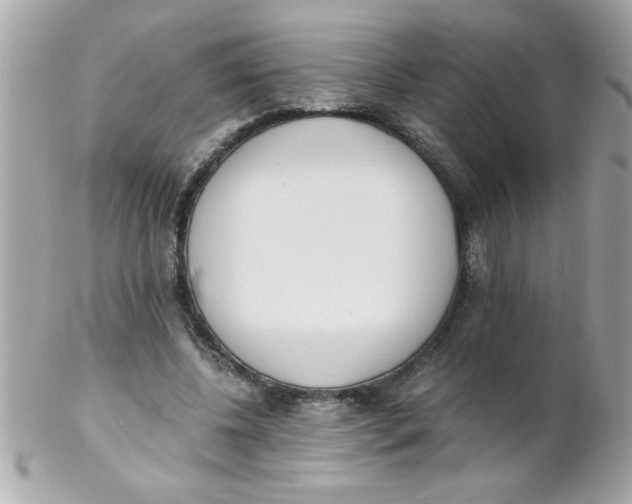 X0000102300540200808152020