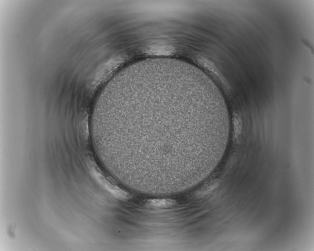X0000102300541200808152020