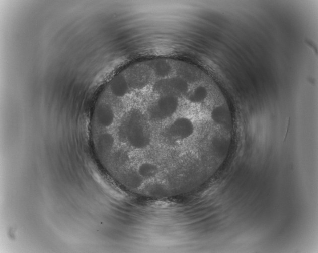 X0000102300542200808152020
