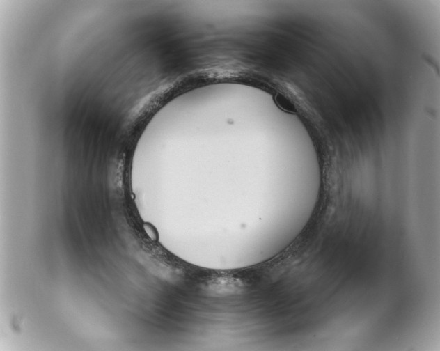 X0000102300543200808152020