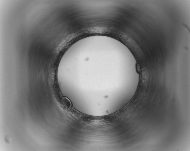X0000102300544200808152020