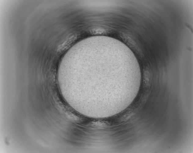 X0000102300545200808152020