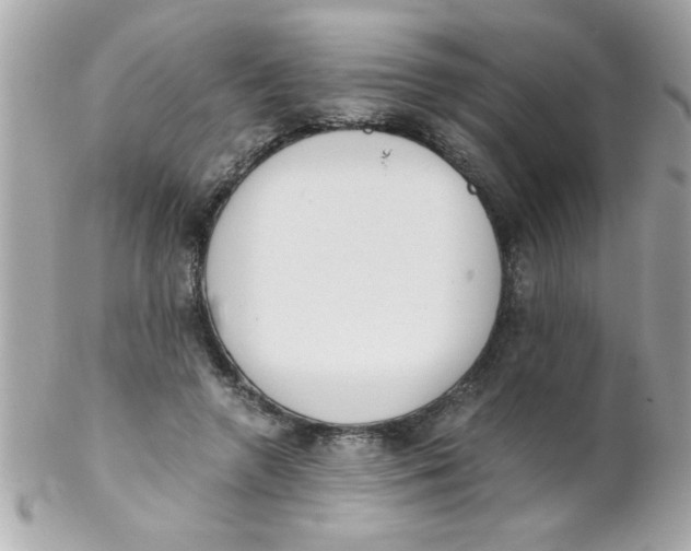 X0000102300546200808152020