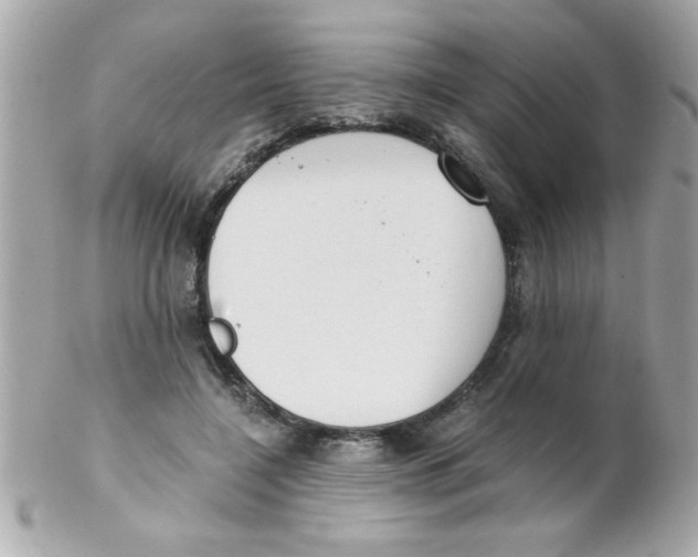 X0000102300548200808152020