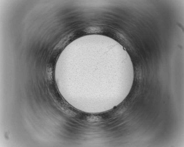 X0000102300549200808152020
