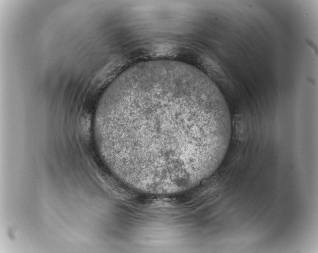 X0000102300550200808152020