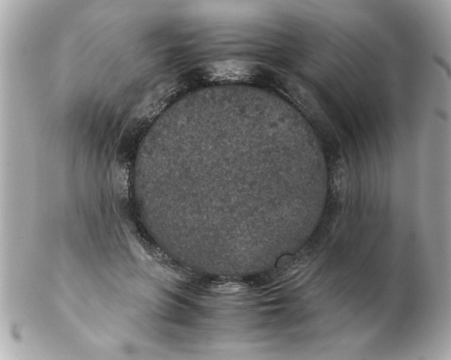 X0000102300551200808152020