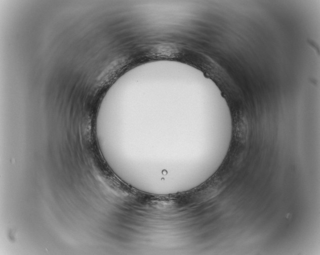 X0000102300552200808152020