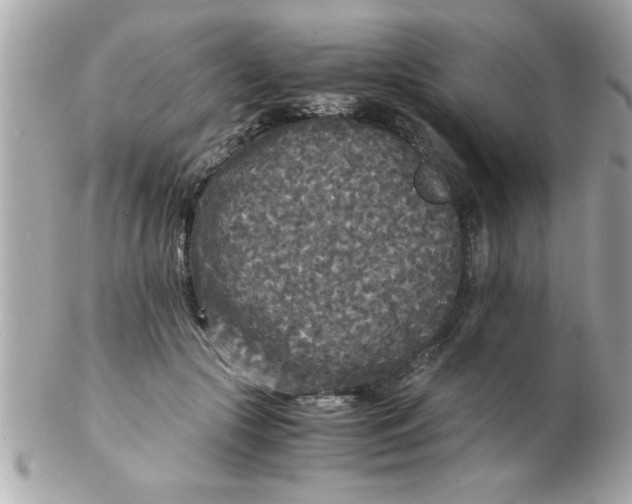 X0000102300553200808152020