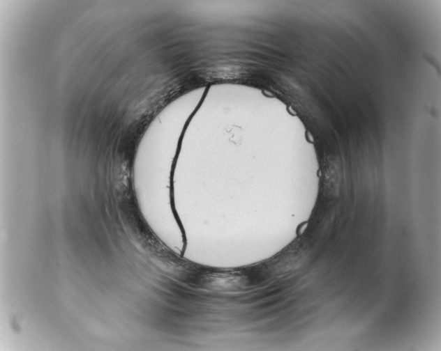 X0000102300555200808152020