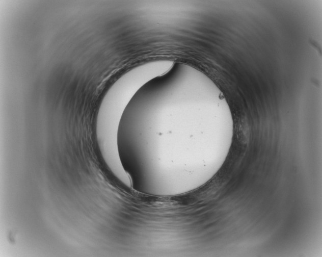 X0000102300556200808152020