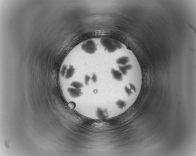 X0000102300557200808152020