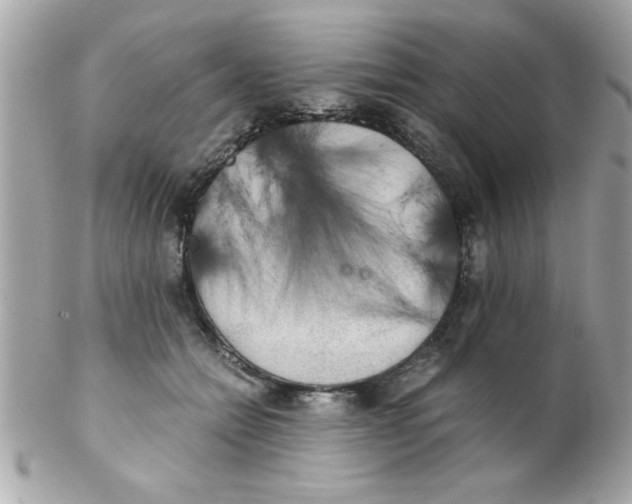 X0000102300558200808152020