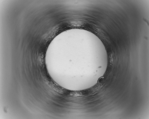 X0000102300559200808152020