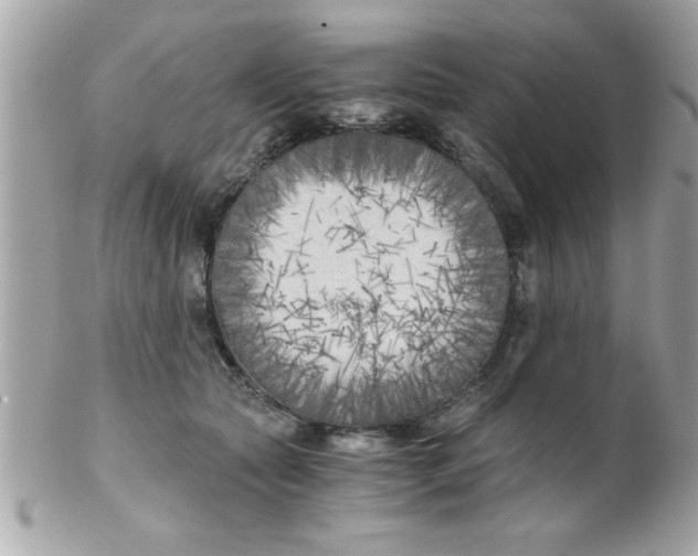 X0000102300561200808152020