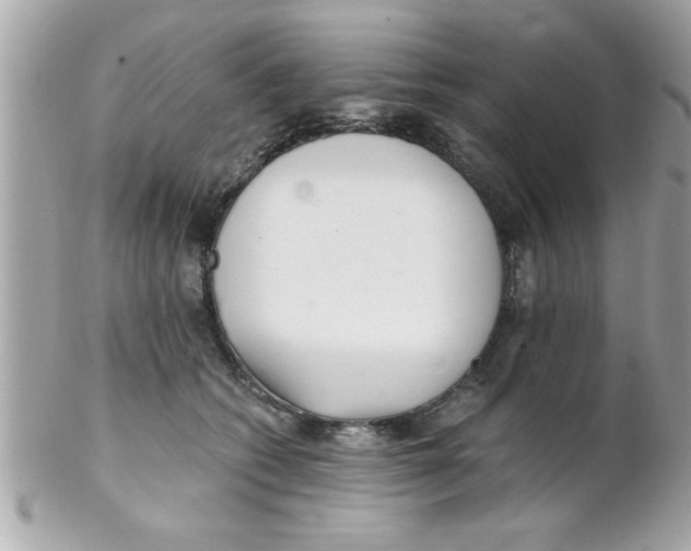 X0000102300562200808152020