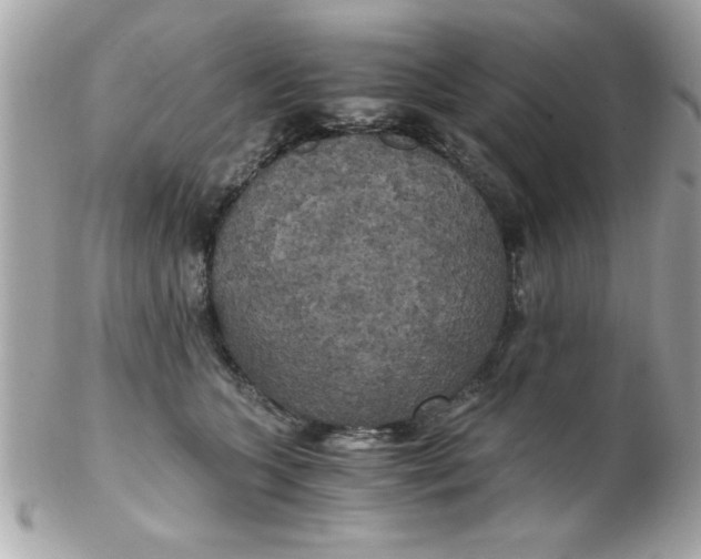 X0000102300563200808152020