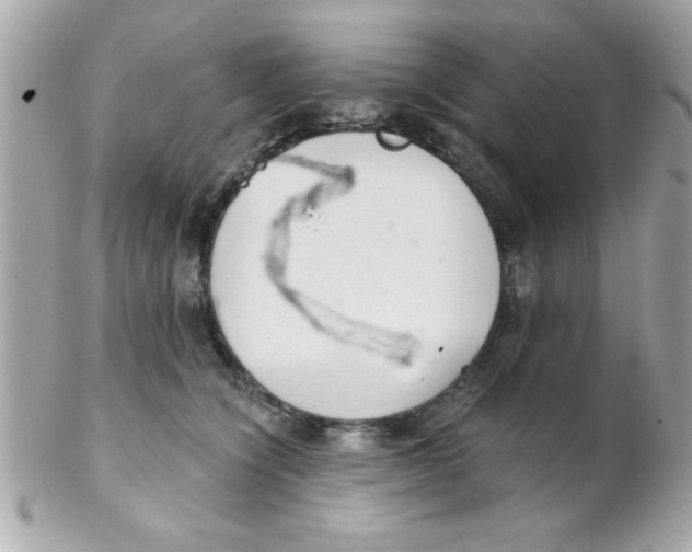 X0000102300564200808152020