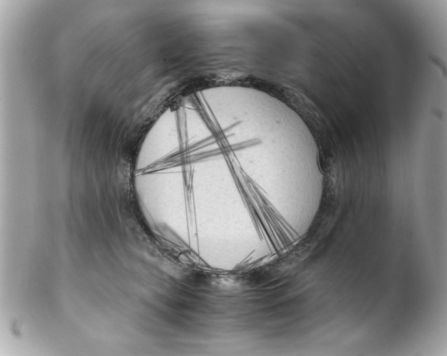 X0000102300565200808152020