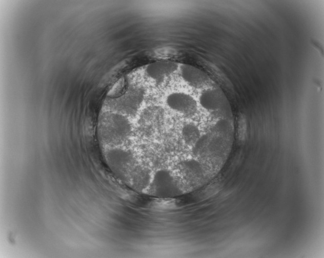 X0000102300569200808152020