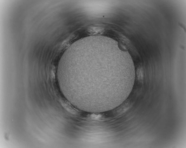 X0000102300570200808152020