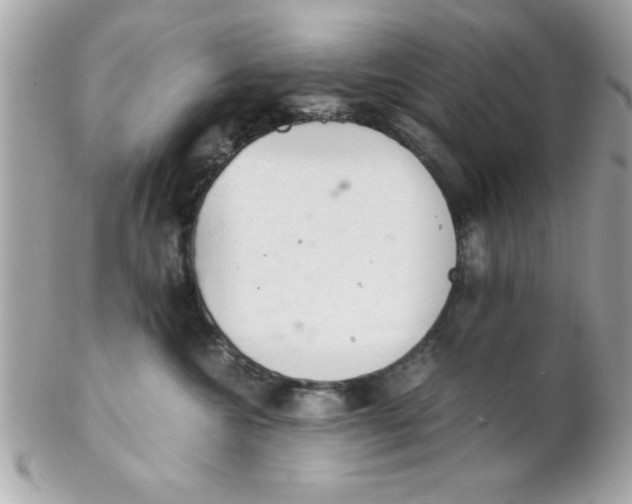 X0000102300572200808152020