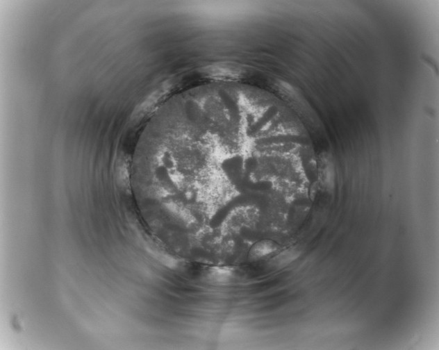 X0000102300573200808152020