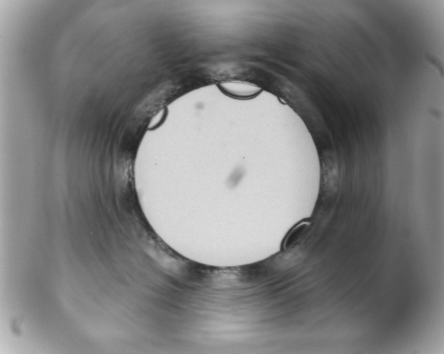 X0000102300574200808152020
