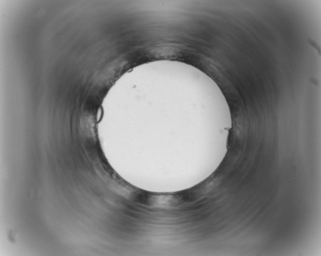 X0000102300575200808152020