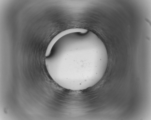 X0000102300576200808152020