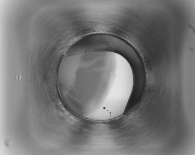 X0000102300577200808152020