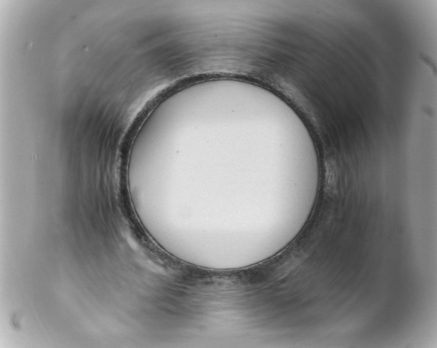 X0000102300580200808152020