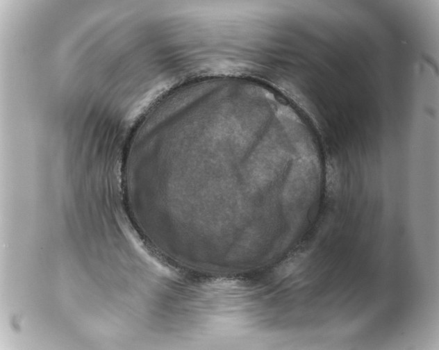 X0000102300581200808152020