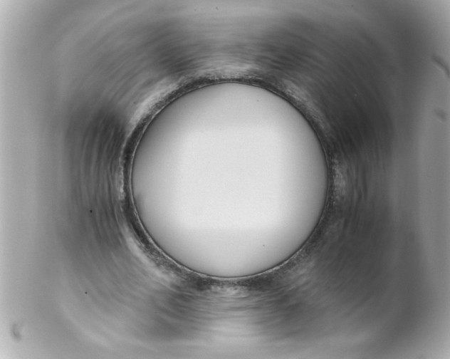 X0000102300582200808152020