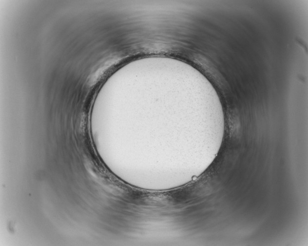 X0000102300583200808152020