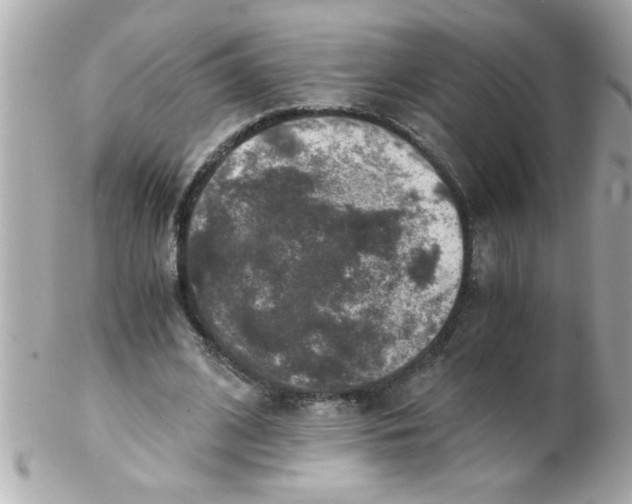X0000102300584200808152020