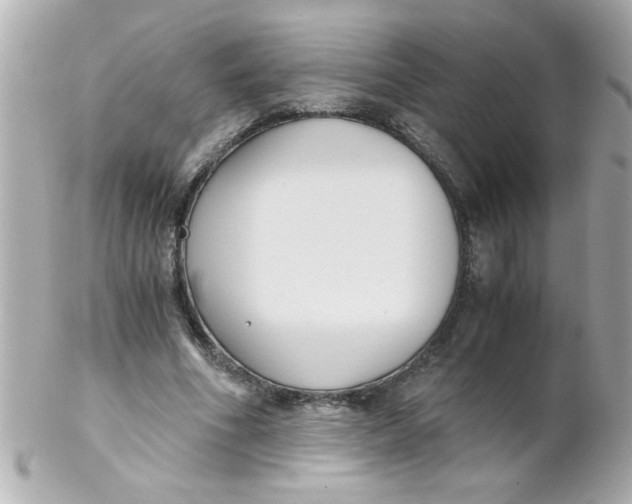 X0000102300586200808152019