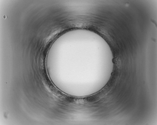 X0000102300587200808152019