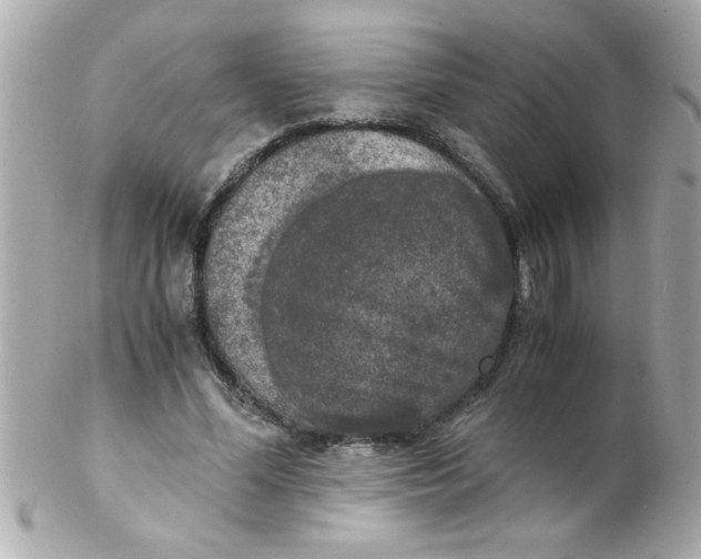 X0000102300588200808152019