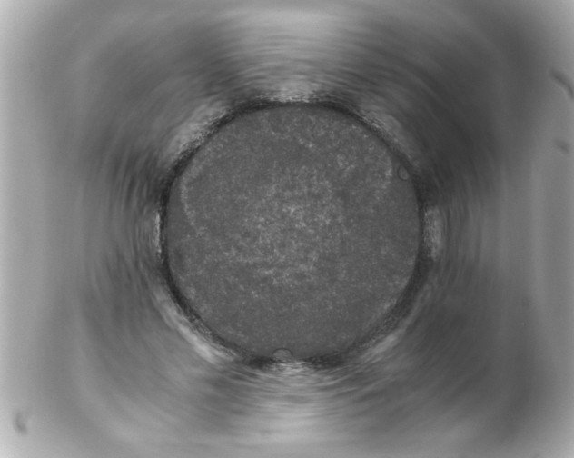 X0000102300589200808152019