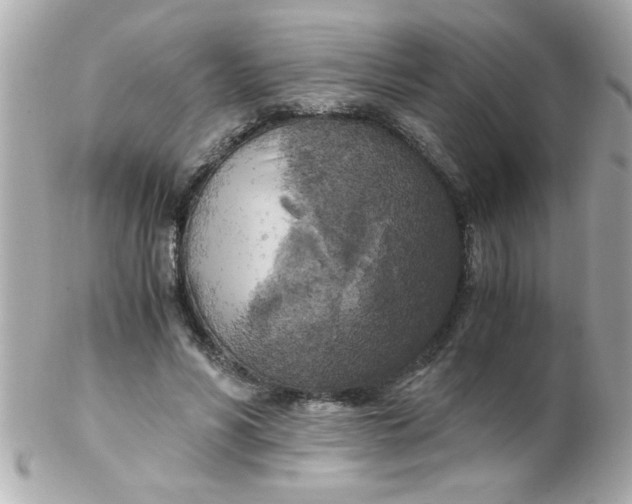 X0000102300590200808152019