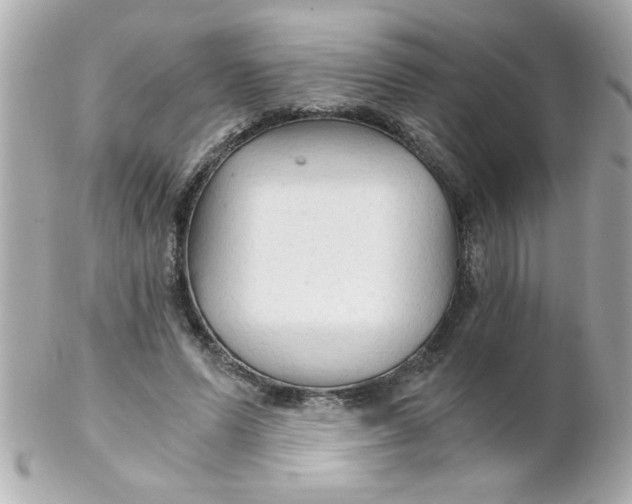 X0000102300591200808152019