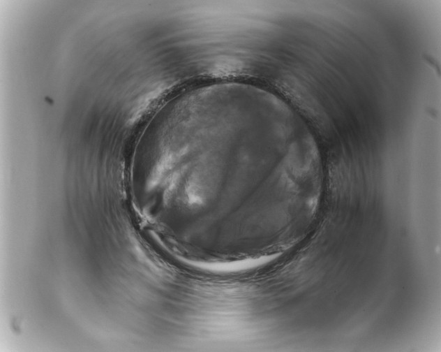 X0000102300592200808152019