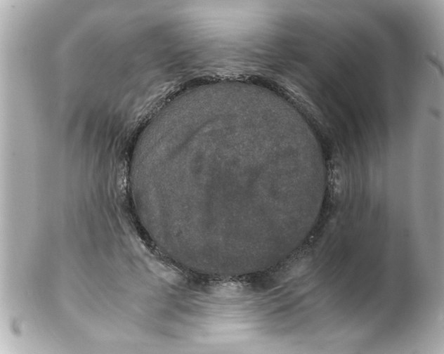 X0000102300593200808152019