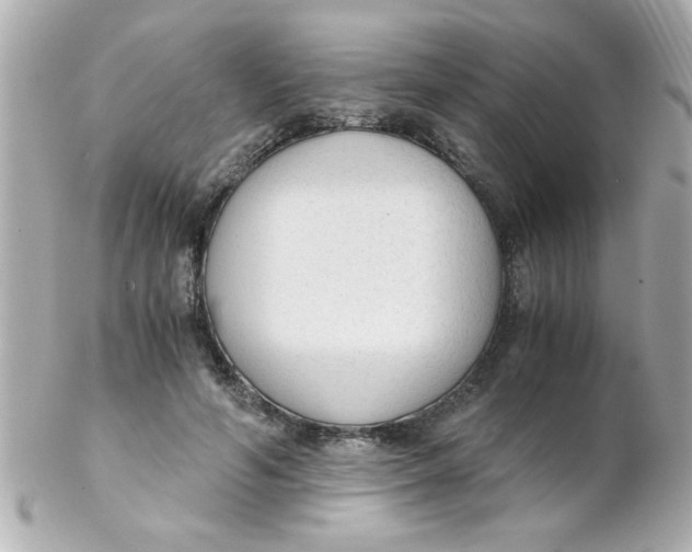 X0000102300594200808152019