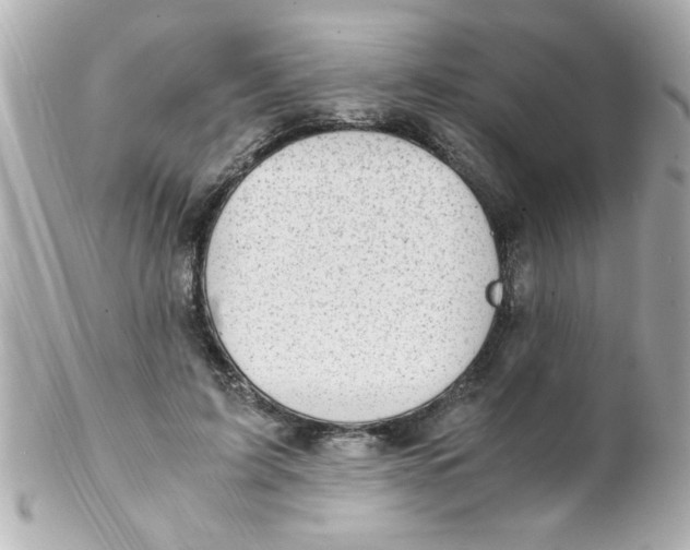 X0000102300595200808152019