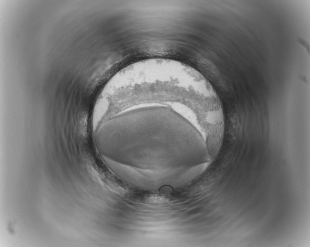 X0000102300596200808152019