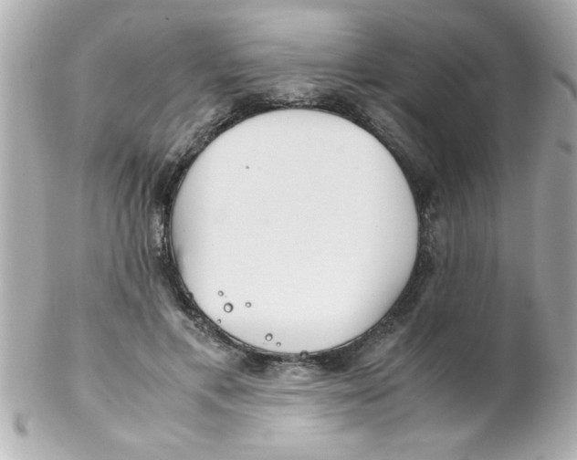 X0000102300597200808152019