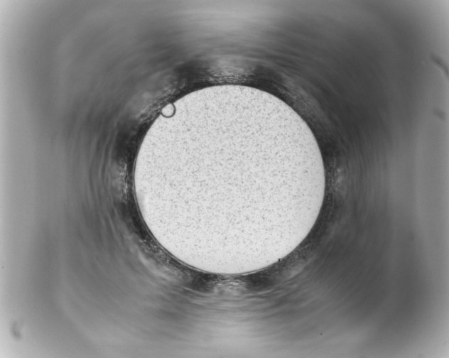 X0000102300599200808152019